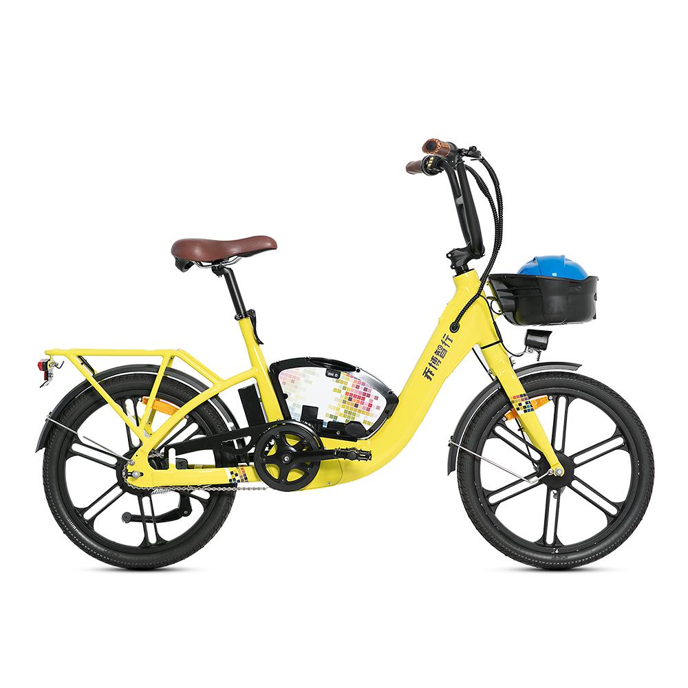 Shared Electric Bike Shared Electric Bike