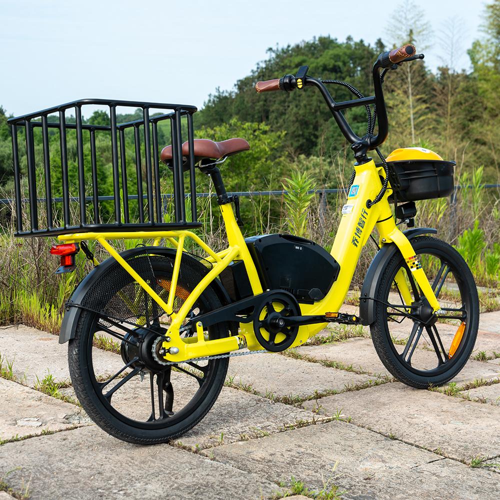 Shared Electric Bike Shared Electric Bike