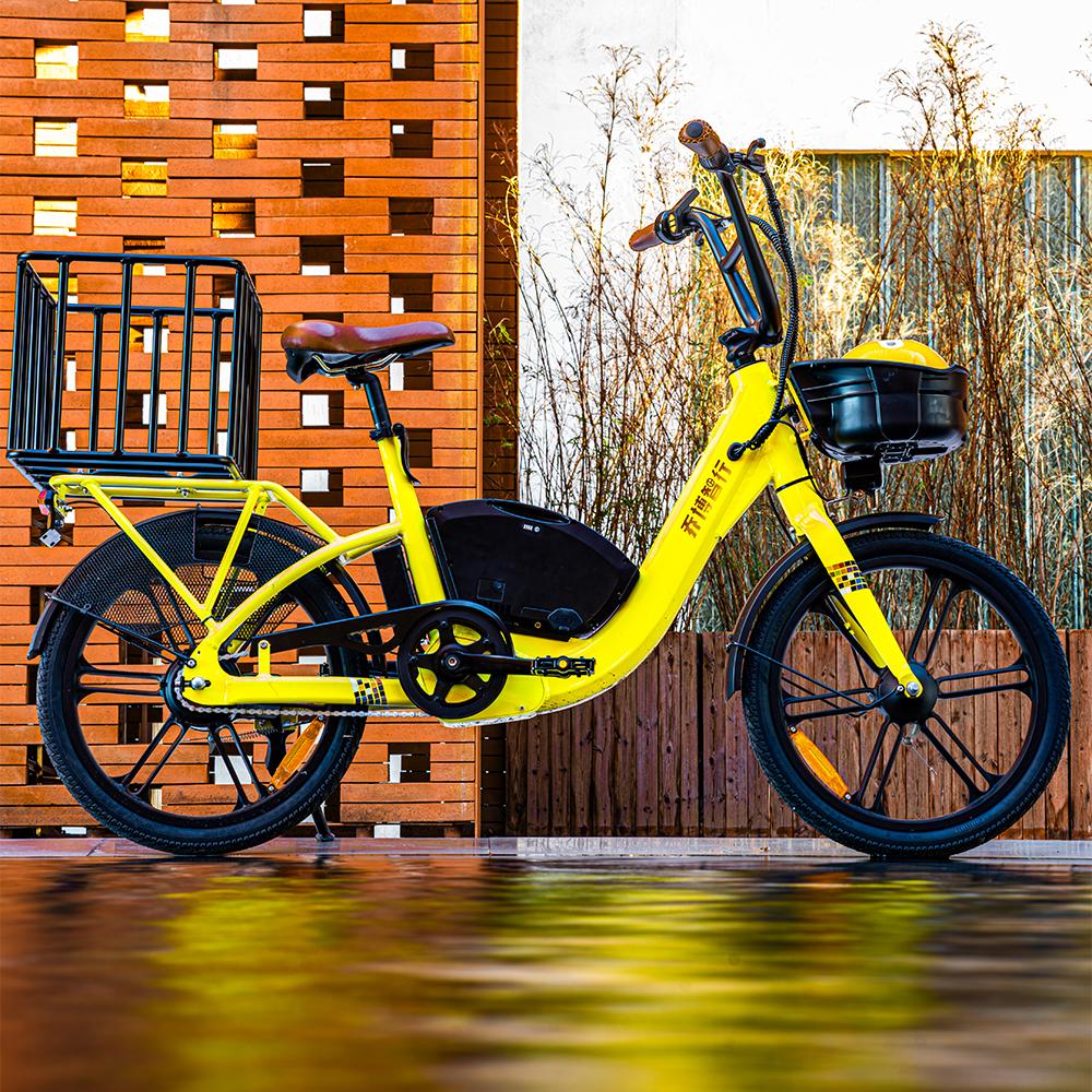 Shared Electric Bike Shared Electric Bike